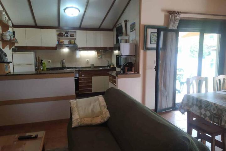 General 2 of 19