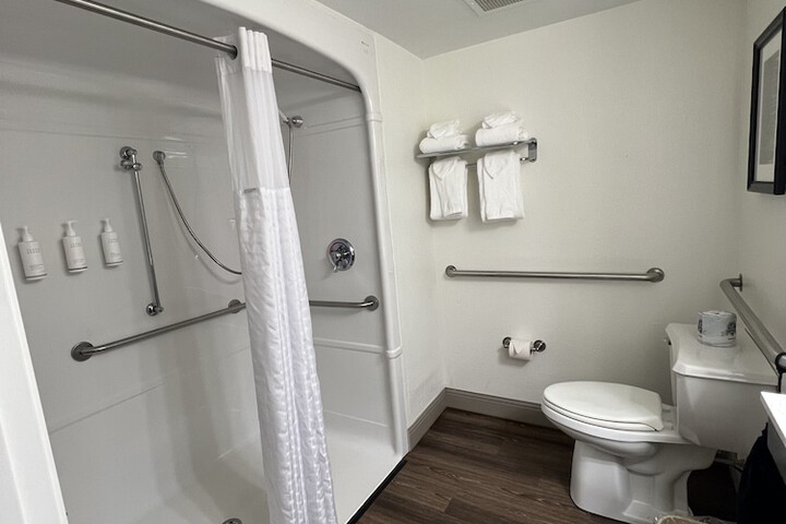 1 King Bed Mobility Accessible Bathtub with Grab Bars (21 of 21)