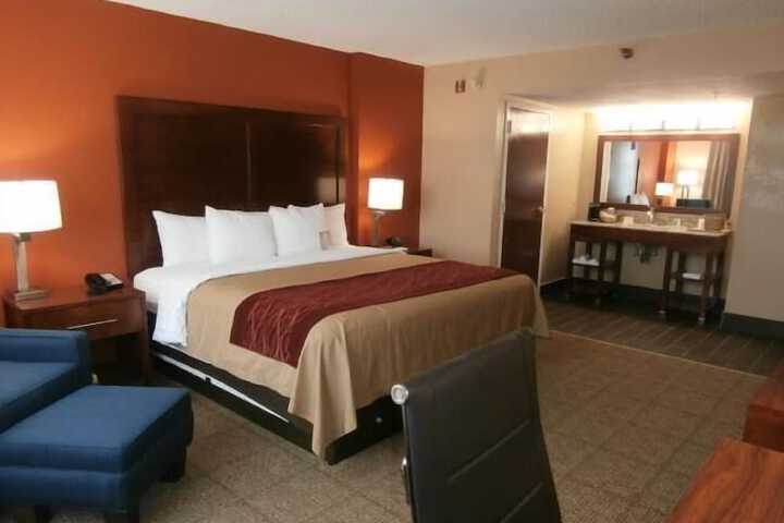 1 King Bed (6 of 12)