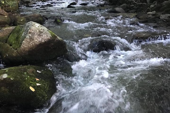 Outdoor Activities 25 of 42