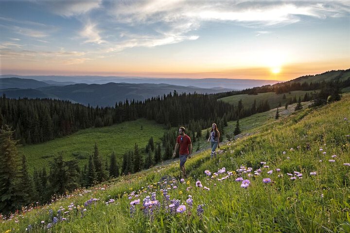 Hiking