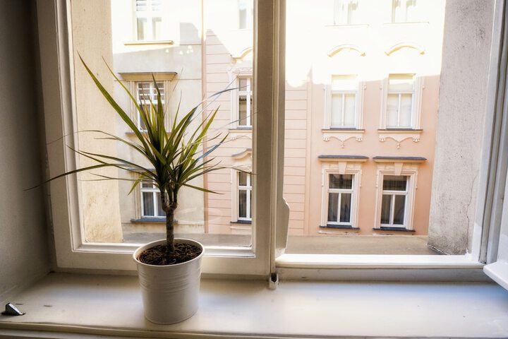 View from room