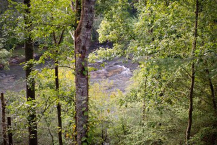 Property Grounds 18 of 30