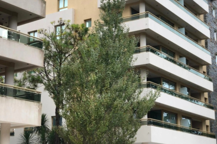 Albar III Building Pinamar