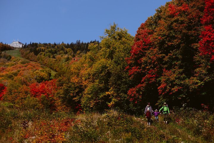 Outdoor Activities 66 of 142