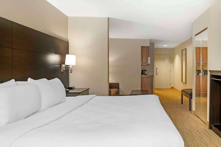 1 King Bed (19 of 22)