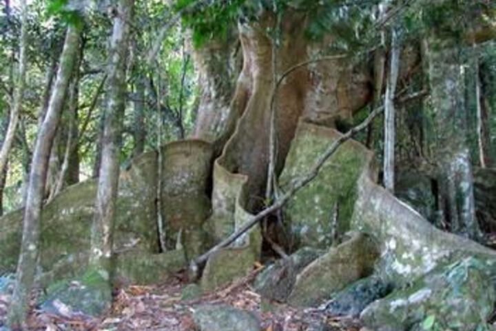 Property Grounds 37 of 43