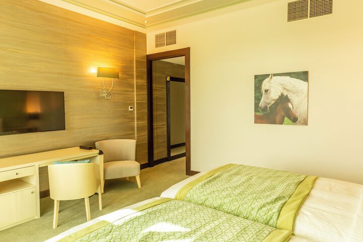 Room 20 of 81