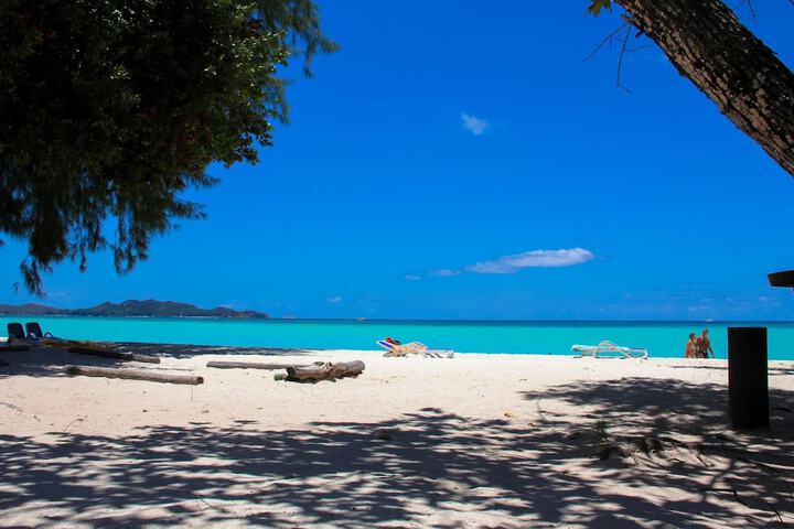 Beach 53 of 67