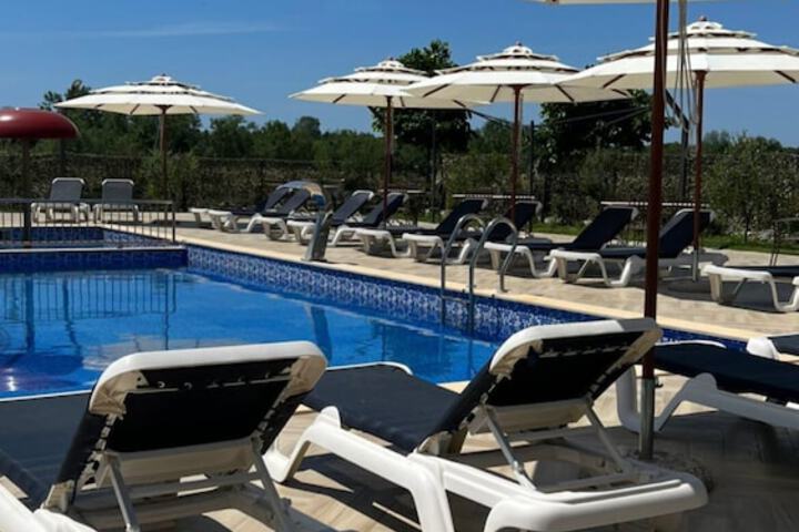 Pool 10 of 16