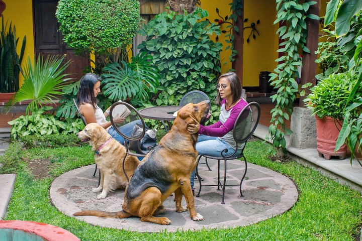 Pet Friendly 35 of 62