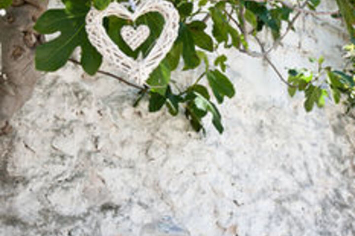 Terrace/Patio 97 of 100