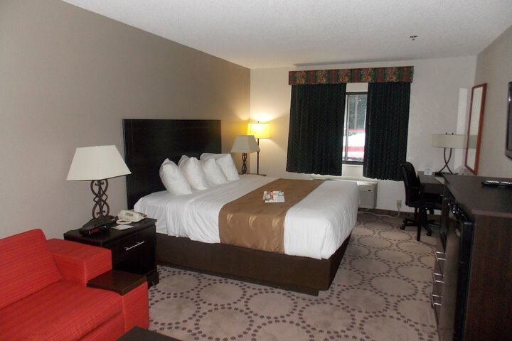 1 King Bed (17 of 21)