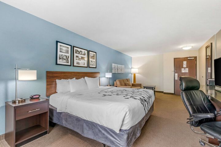 1 King Bed Mobility Accessible (3 of 29)
