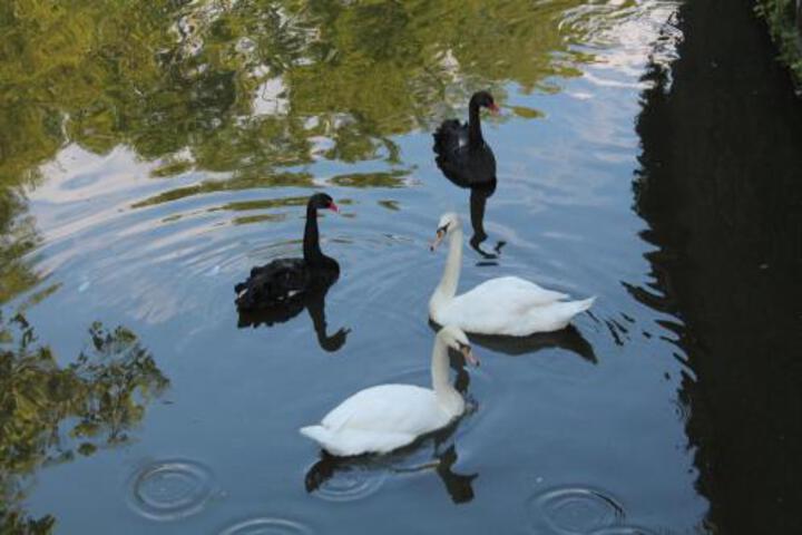 Spa and Wellness Pictures