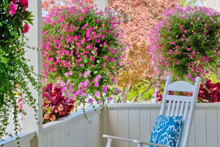 Terrace/Patio 88 of 106