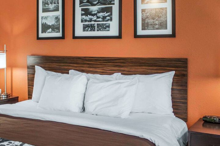 1 King Bed (3 of 8)