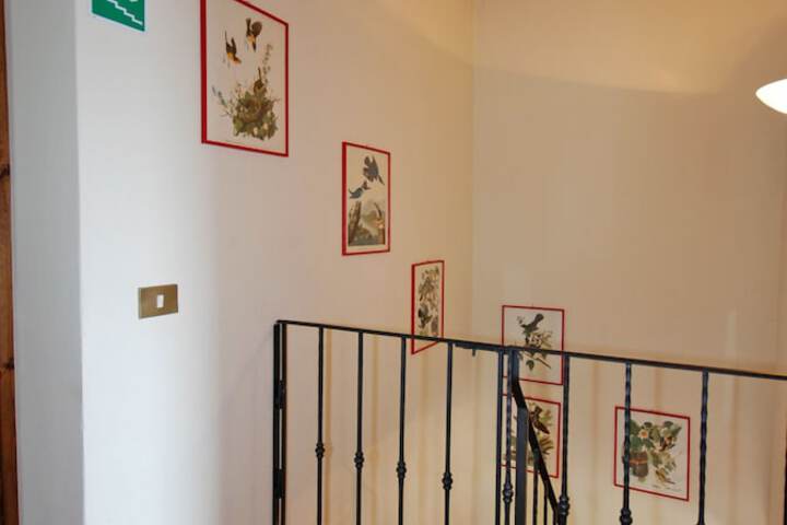 Room 29 of 60