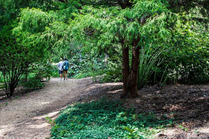 Outdoor Activities 35 of 64