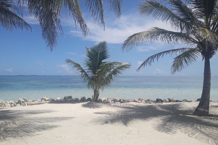Beach 8 of 18