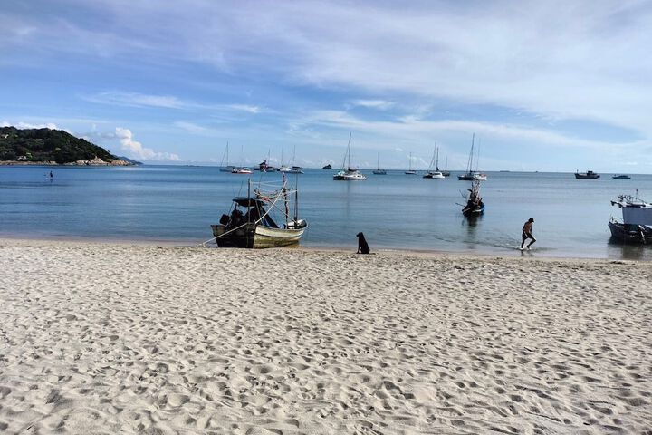 Beach 95 of 132