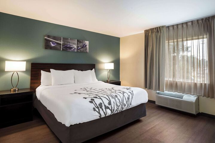1 King Bed (15 of 18)