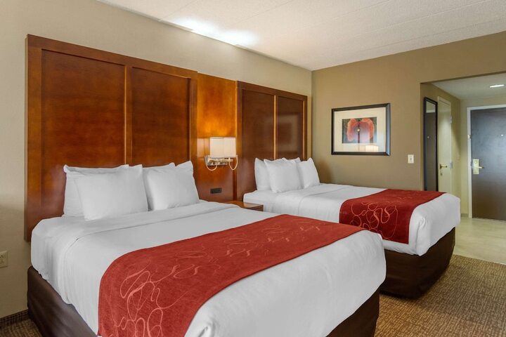 2 Queen Beds 2 Person Sofa Bed (8 of 8)