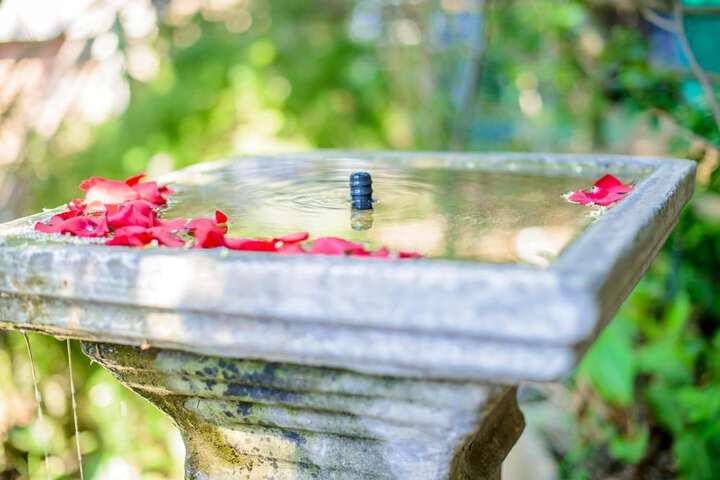 Property Grounds 55 of 81