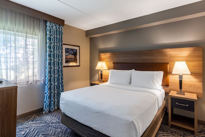 Studio Suite King Bed (4 of 14)