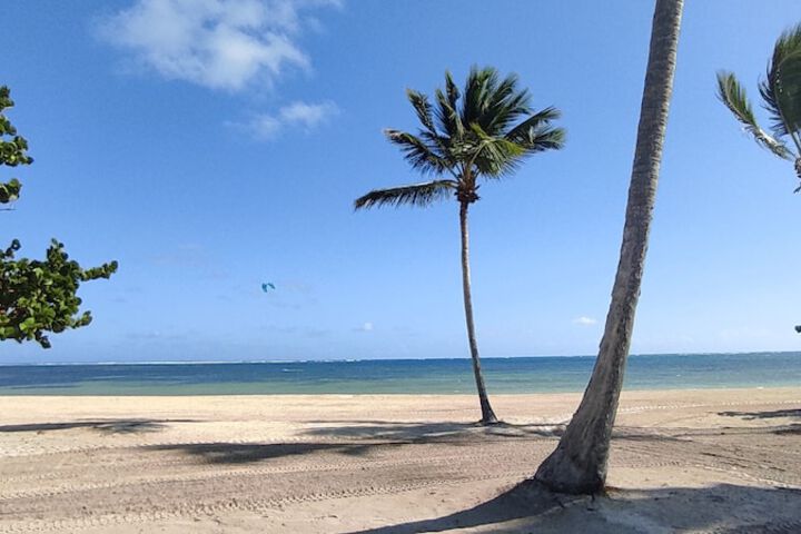 Beach 242 of 259