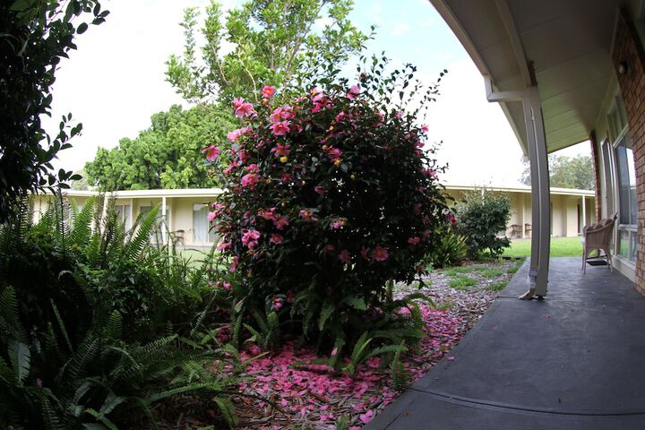 Hotel Exterior 180 of 199