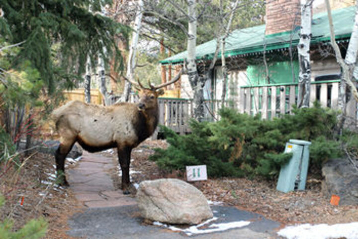 Exterior of Sunnyside Knoll Resort