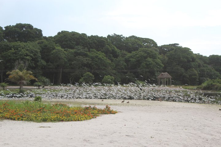 Beach 45 of 56