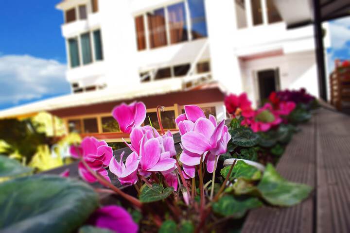 Hotel 51 of 55