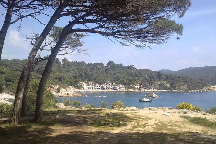 Beach 53 of 65