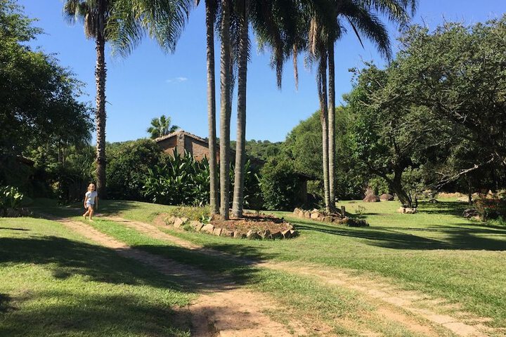 Property Grounds 17 of 27