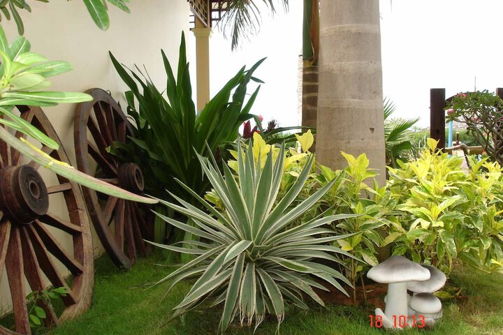 Hotel Exterior 96 of 104