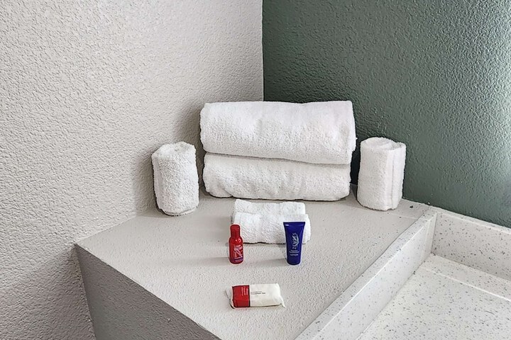 1 King Bed Sofa (8 of 10)