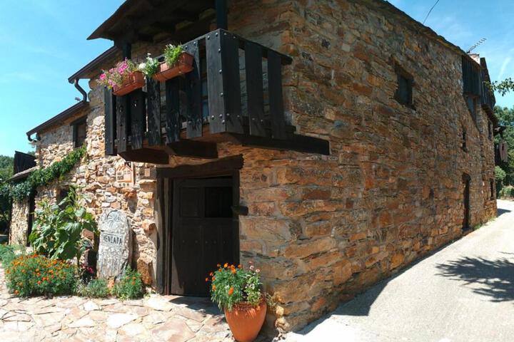 Veniata