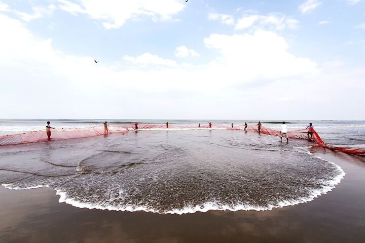 Beach 55 of 61
