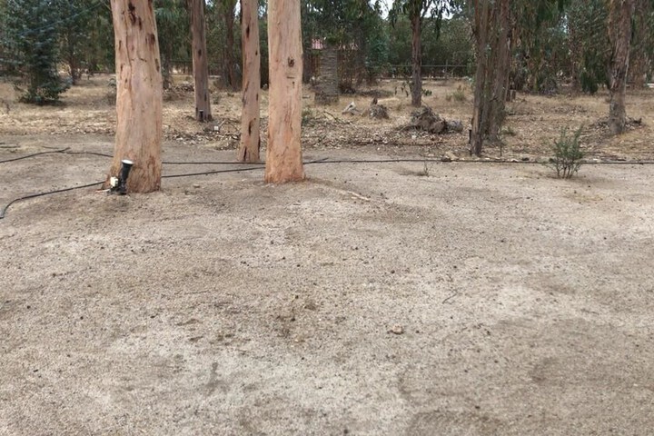 Property Grounds 34 of 49