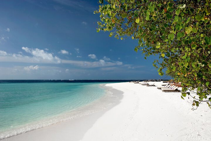 Beach 80 of 122