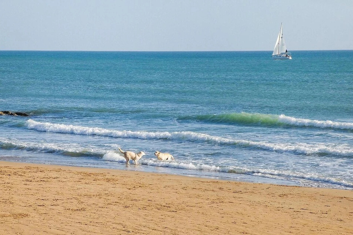 Beach 10 of 14