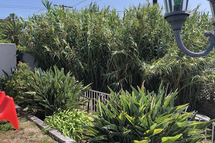 Hotel Exterior 37 of 39