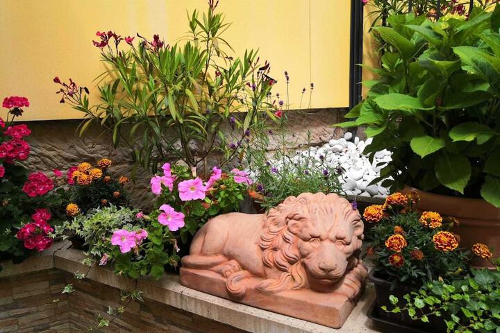 Terrace/Patio 16 of 42