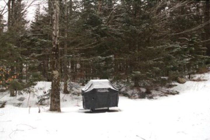 Property Grounds 5 of 15