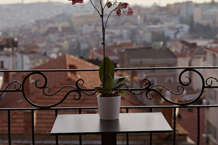 Terrace/Patio 26 of 51