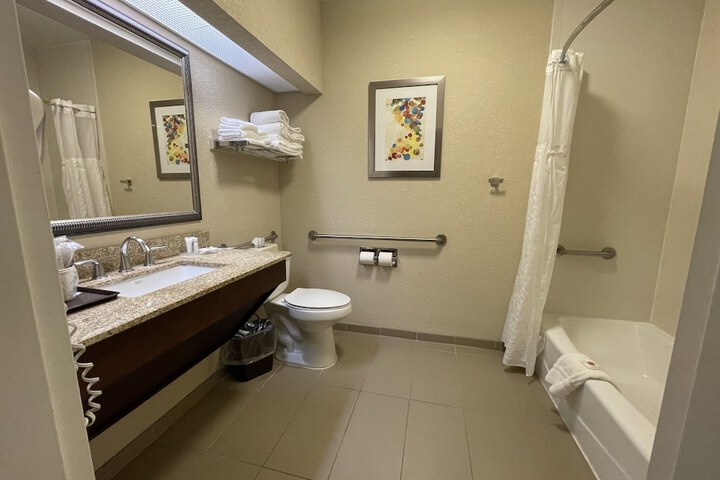 1 Queen Bed Accessible (21 of 46)