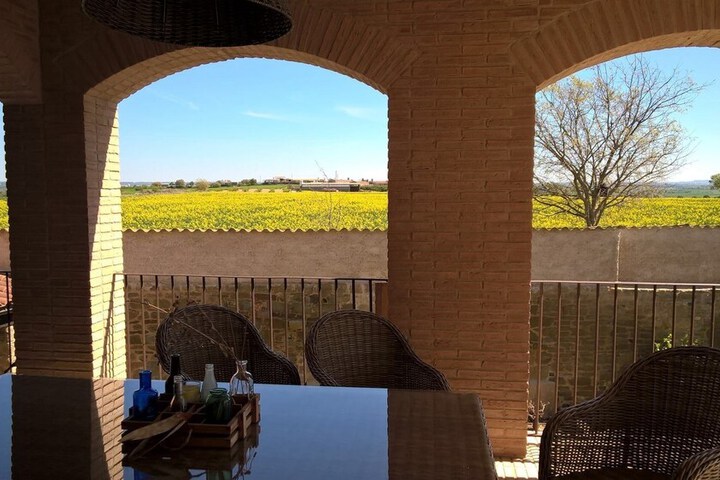 Terrace/Patio 13 of 42