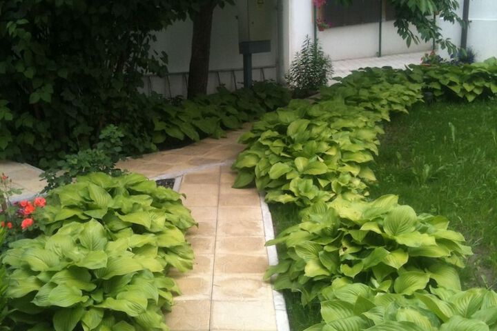Terrace/Patio 44 of 54